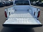 2025 Ford F-150 SuperCrew Cab 4WD Pickup for sale #F5142 - photo 19