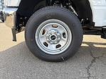 2026 Ford F-350 Regular Cab SRW 4x4 Scelzi Service Truck for sale #F5155 - photo 22
