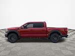 2025 Ford F-150 SuperCrew Cab 4WD Pickup for sale #F5192 - photo 5