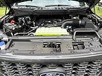 2025 Ford F-150 SuperCrew Cab 4x4 Pickup for sale #FS1410 - photo 24