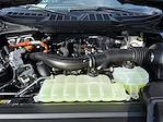 2025 Ford F-150 SuperCrew Cab 4WD Pickup for sale #FS1484 - photo 26