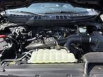 2024 Ford F-150 SuperCrew Cab 4x4 Pickup for sale #FSG12031 - photo 25