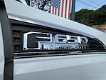 2024 Ford F-650 Super Cab DRW 4x2 Rugby Dump Truck for sale #FST24002 - photo 31