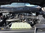 2024 Ford F-150 SuperCrew Cab 4x4 Pickup for sale #FSYF1469 - photo 22