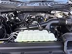 New 2025 Ford F-150 XLT SuperCrew Cab for sale #FSYF2005 - photo 26