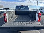 2024 Ford F-250 Crew Cab 4x4 Pickup for sale #C40125 - photo 9