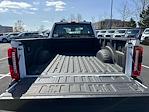 2024 Ford F-250 Super Cab 4x4 Plow Truck for sale #C40736 - photo 10