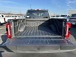 2024 Ford F-350 Crew Cab SRW 4x4 Pickup for sale #C40931 - photo 10