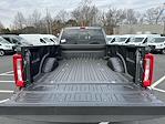2025 Ford F-350 Crew Cab SRW 4x4 Pickup for sale #C50191 - photo 10