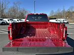 2025 Ford F-250 Crew Cab 4x4 Pickup for sale #C50349 - photo 10
