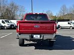 2025 Ford F-250 Crew Cab 4x4 Pickup for sale #C50349 - photo 3