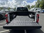 2025 Ford F-350 Crew Cab DRW 4x4 Pickup for sale #C50615 - photo 10