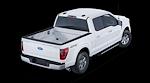 2025 Ford F-150 SuperCrew Cab 4x4 Pickup for sale #C50688 - photo 3