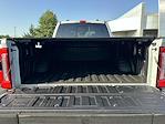 2025 Ford F-250 Crew Cab 4x4 Pickup for sale #C50911 - photo 10