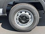 2025 Ford Transit 250 Low Roof RWD Empty Cargo Van for sale #C51053 - photo 13