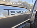 New 2025 Ford F-150 XLT SuperCrew Cab 4x4 Pickup for sale #C51392 - photo 10
