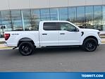 Used 2025 Ford F-150 STX SuperCrew Cab for sale #C60063A - photo 9
