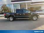 2024 Ford F-150 SuperCrew Cab 4WD Pickup for sale #P46869 - photo 15