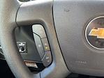 2025 Chevrolet Express 3500 Regular Cab RWD Cutaway for sale #T50655 - photo 14