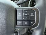 2024 Ford F-450 Crew Cab DRW 4x2 Cab Chassis for sale #REE67448 - photo 12
