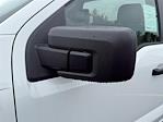 2025 Ford F-150 Regular Cab 4x2 Pickup for sale #SKE40053 - photo 25