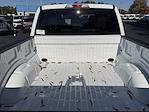 2025 Ford F-150 SuperCrew Cab RWD Pickup for sale #SKF58534 - photo 26