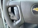 2025 Chevrolet Express 3500 Regular Cab RWD Box Van for sale #25C194T - photo 23