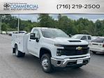 2025 Chevrolet Silverado 3500 Regular Cab DRW 4WD Cab Chassis for sale #25C209T - photo 1