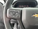 2025 Chevrolet Silverado 3500 Regular Cab DRW 4WD Cab Chassis for sale #FLH559 - photo 28