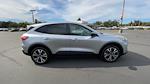 New 2022 Ford Escape SE for sale #22F540 - photo 5