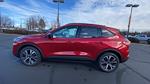 New 2022 Ford Escape SEL for sale #22F693 - photo 7