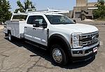 2025 Ford F-550 Crew Cab DRW 4x4 Scelzi Combo Body for sale #25F274 - photo 23