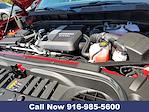2025 Chevrolet Silverado 1500 Crew Cab 4x4 Pickup for sale #250920 - photo 30
