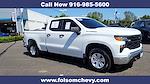 2025 Chevrolet Silverado 1500 Double Cab 4x2 Pickup for sale #5576T - photo 3