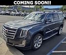 2019 Cadillac Escalade RWD SUV for sale #B26175A - photo 1