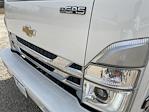 2024 Chevrolet LCF 5500HG Regular Cab 4x2 Martin Box Truck for sale #F24244 - photo 10