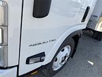 New 2024 Chevrolet LCF 4500HG Regular Cab 4x2 Martin Box Truck for sale #F24271 - photo 12