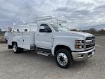 2023 Chevrolet Silverado 5500 Regular Cab DRW 4x2, Scelzi Signature Utility for sale #M23536 - photo 6