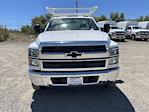 2023 Chevrolet Silverado 5500 Regular Cab DRW 4x2, Harbor Standard Contractor Body Contractor Truck for sale #M23627 - photo 7