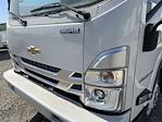 2024 Chevrolet LCF 4500HG Regular Cab 4x2, Morgan Truck Body Gold Star Box Truck for sale #M24259 - photo 11