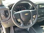 2025 Chevrolet Silverado 1500 Regular Cab 4x2 Pickup for sale #M25201 - photo 15