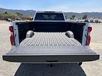 2025 Chevrolet Silverado 2500 Crew Cab SRW 4x2 Pickup for sale #M25214 - photo 19