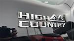 2024 Chevrolet Silverado 3500 Crew Cab 4x4 Pickup for sale #P15746A - photo 32
