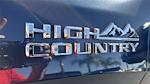2023 Chevrolet Silverado 1500 Crew Cab 4x4 Pickup for sale #P16042 - photo 31
