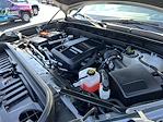 2024 GMC Sierra 1500 Crew Cab 4x2 Pickup for sale #P16126 - photo 27