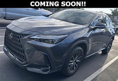 2024 Lexus NX 250 FWD SUV for sale #T241483A - photo 1