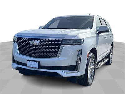 2023 Cadillac Escalade 4WD SUV for sale #T25932A - photo 1