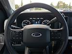 2023 Ford F-250 Crew Cab 4WD Pickup for sale #PEC15519 - photo 18