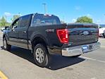 2023 Ford F-150 SuperCrew Cab 4WD Pickup for sale #PFC51659 - photo 6
