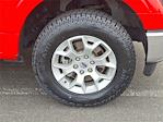 2023 Ford F-150 SuperCrew Cab 4WD Pickup for sale #PKE89897 - photo 8